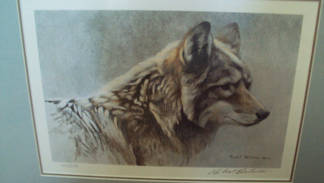 ROBERT BATEMAN LIMITED EDITION PRINT - COYOTE HEAD STUDY in Arts & Collectibles in Hamilton