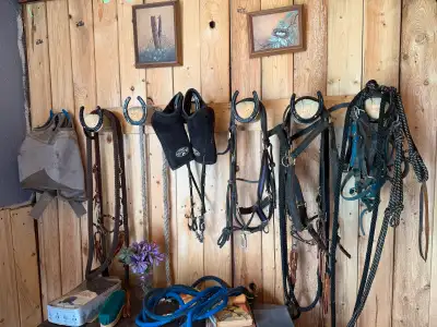 horse tack for sale, View more