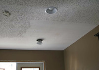 -POPCORN STUCCO REMOVAL / CEILING REPAIR DAMAGE / PAINT