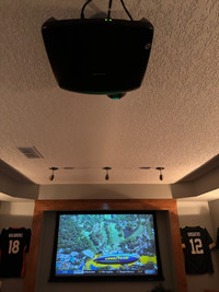 Projector and Big Screen