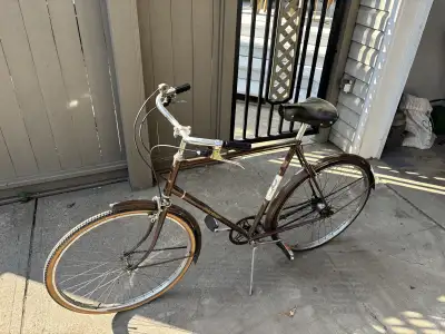 Vintage 1974 Raleigh Sport, View more