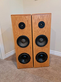 Wooden Cabinet 2-way Loudspeaker Pair