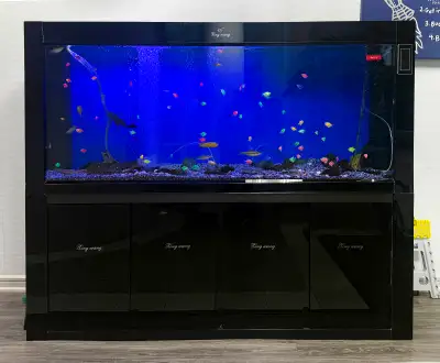 SALE SALE SALE 3 BEAUTIFUL FISH TANK -$500, View more