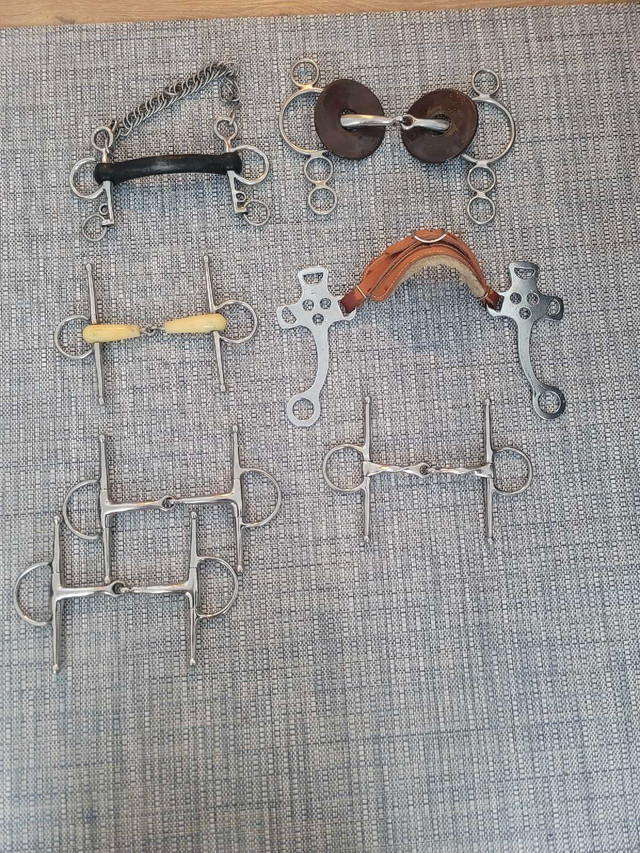 Assorted English bits/spurs in Equestrian & Livestock Accessories in Chilliwack