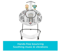 Baby bouncer( Fisher Price)