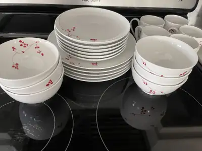 I'm selling a Mikasa Gourmet Basics Red Berries porcelain dinnerware perfect for adding a touch of e...