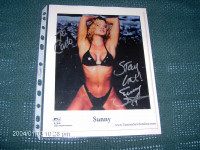 WWF,WWE, Diva Sunny Signed Photo $25.00