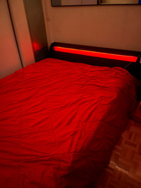 Queen Size Bed Frame W/ LED Lights and Bump Prevention