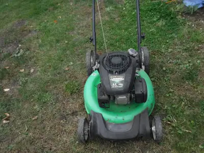 lawn boy push mower, View more
