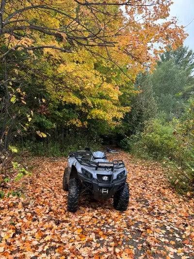 2023 Argo 500cc fuel injected starts right up has light bar has winch brakes work tires hold air . C...