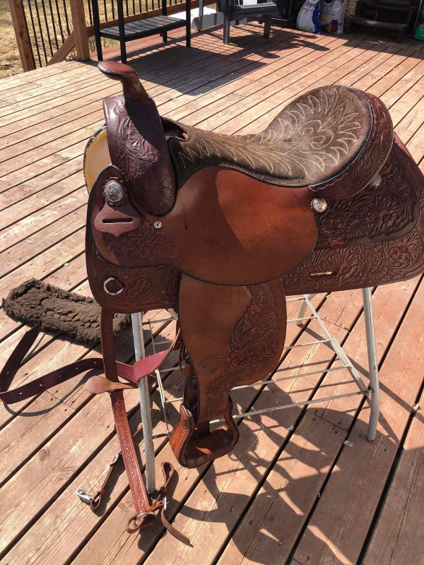 Selle/saddle dans Accessoires pour bétails et chevaux  à Ouest de l’Île