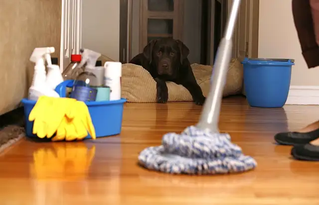 Professional/affordable cleaning, DUR - call/text @ 289-278-3331 in Cleaners & Cleaning in City of Toronto - Image 4