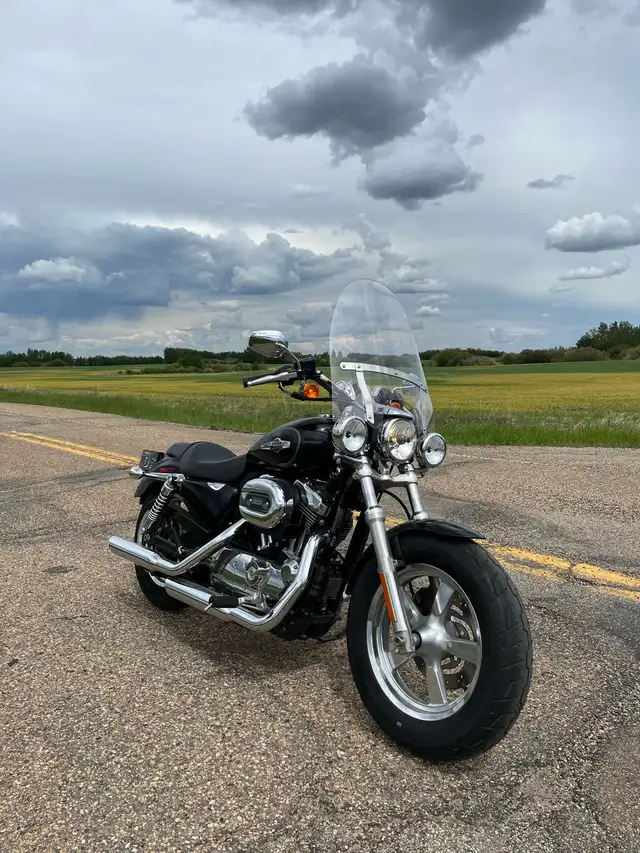  2012 Harley Davidson Sportster XL 1200 Custom  in Street, Cruisers & Choppers in Edmonton - Image 4