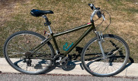Raleigh Commuter Bike
