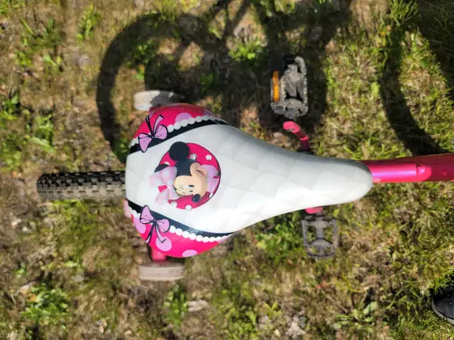 Mini Mouse bike63013092798465121