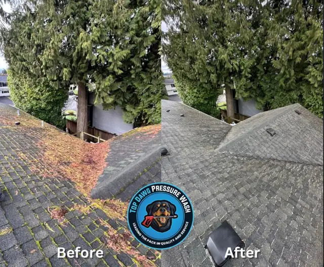 Top-Quality Pressure Washing – Driveways, Decks, Homes62863246307713123