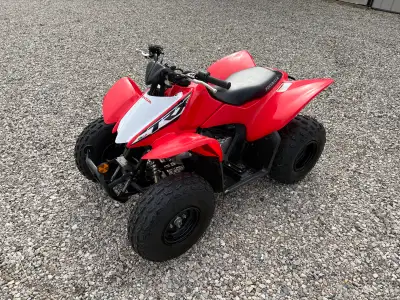 2017 TRX 90X in excellent condition. Original owner bought new in 2018. Always stored indoors, regul...