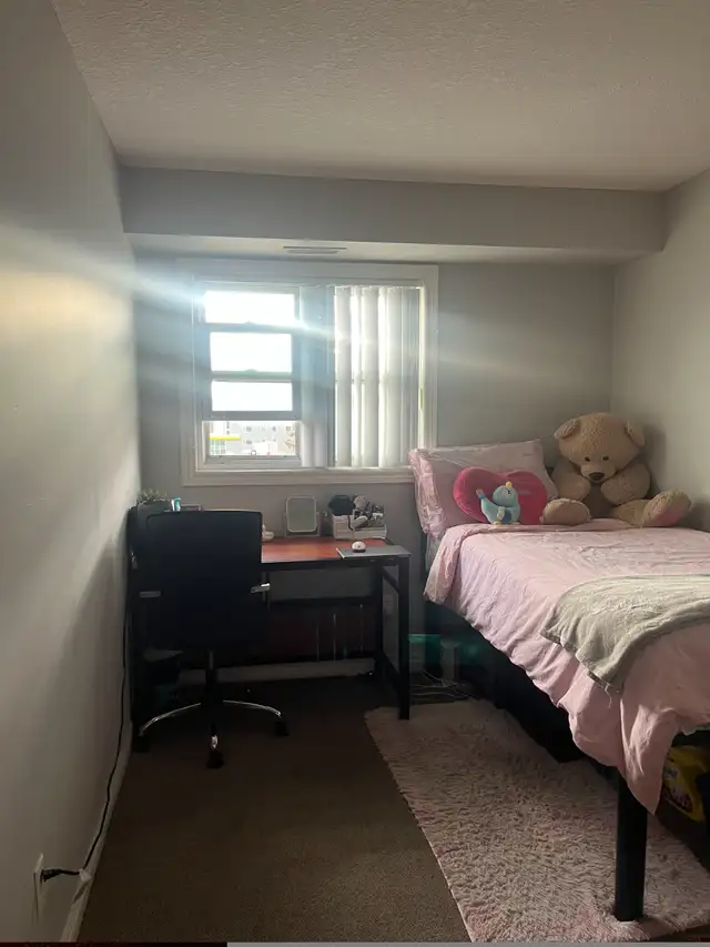 Room for rent in Room Rentals & Roommates in Kitchener / Waterloo - Image 2