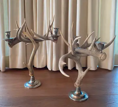 Antler and Pewter Candelabras, View more