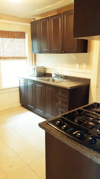 (DOWNTOWN) Homey 2-Bedroom SUITE, FURNISHED!