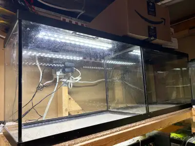 fish tank , View more