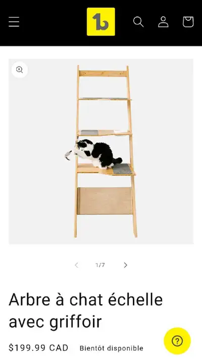 module pour chat, View more