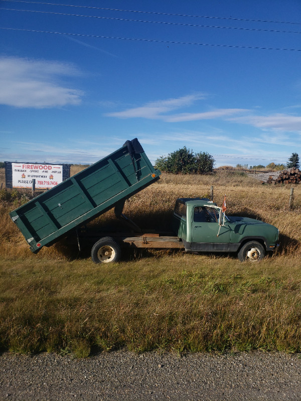 Firewood free delivery edmonton and surrounding areas. in Fireplace & Firewood in St. Albert - Image 3