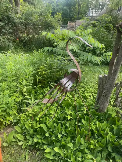 garden  heron, View more