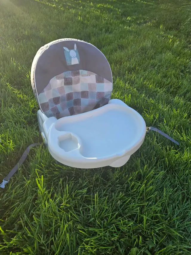 infant Boooster Seat in Bathing & Changing in Edmonton - Image 6