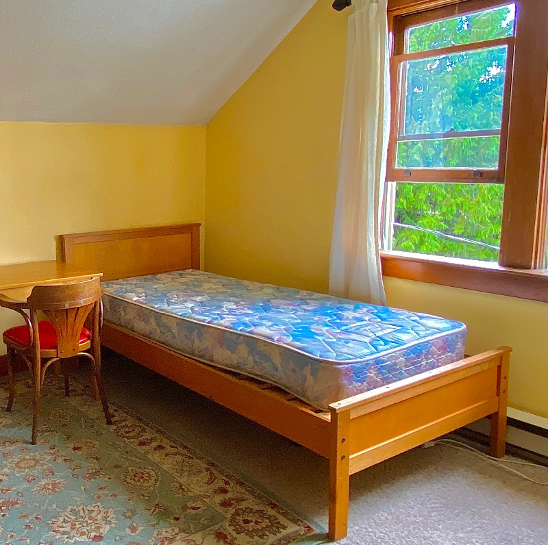 Female only Room for rent Gore St Nelson Long Term Rentals Nelson