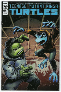 Teenage Mutant Ninja Turtles # 112 Cover B 1st Print NM IDW TMNT