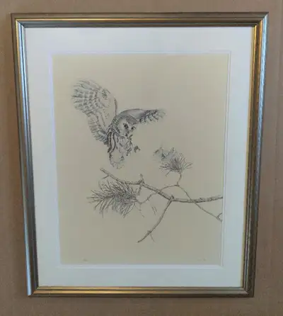 Glen Loates Saw-whet Owl Print - Signed and Numbered