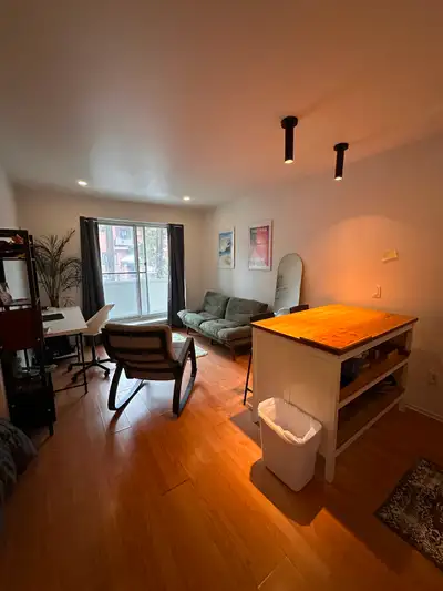 Bonjour, je fais une session de bail pour le mois de juin ou Mai de mon appartement proche de toutes...