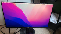 Acer 24 inch IPS Monitor