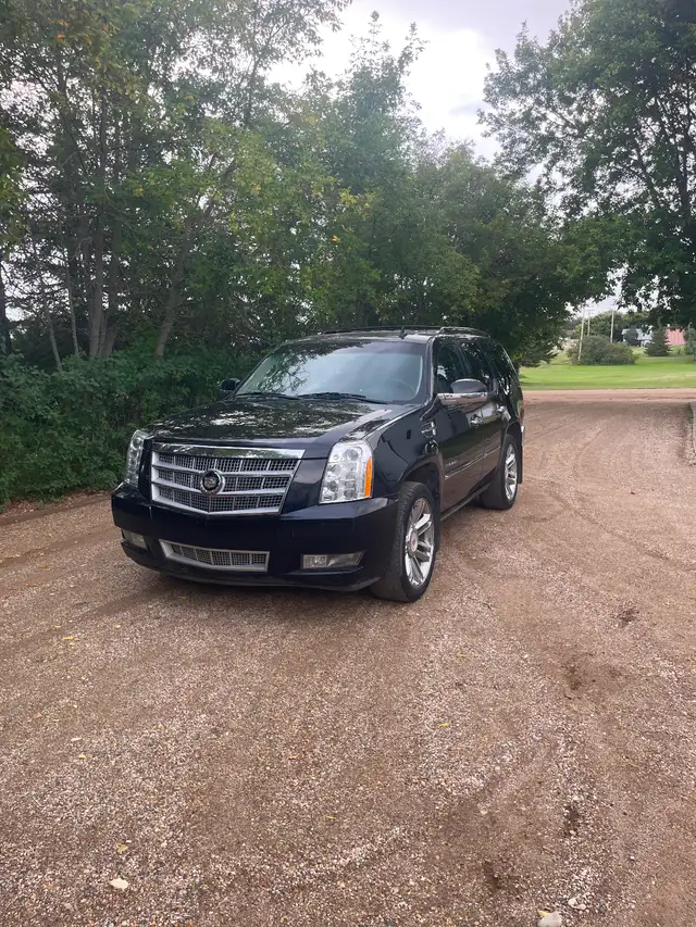 2012 Escalade Platinum551125938162913281