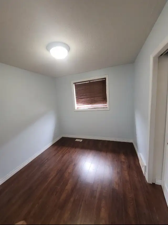 professional painter518518802199367683