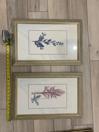 Two Framed floral prints 