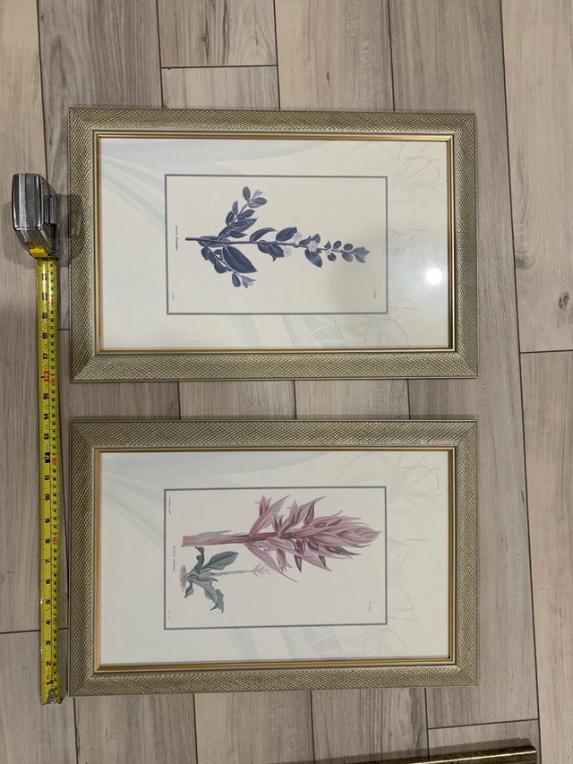 Two Framed floral prints  in Home Décor & Accents in Windsor Region