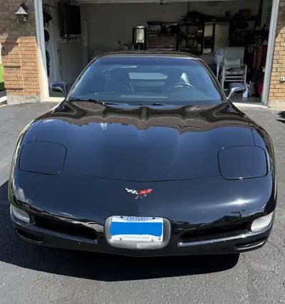 In pristine condition, never winter driven. When not being used is wrapped in a full protective fabr...