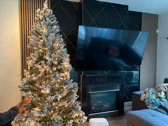 Big private room with private washroom for female in Room Rentals & Roommates in Delta/Surrey/Langley - Image 4