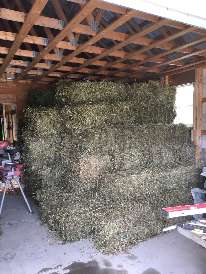 Hay for sale Other Cape Breton Kijiji