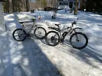 Vélos de montagne électriques
