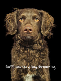 Ruff Country Dog Grooming 