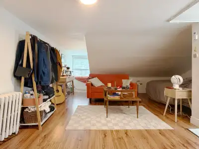 A Spacious Loft room with lots of natural lights in a big space . Located Bathurst/ College Downtown...