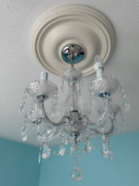 18” 5 Bulbs Chandelier and Ceiling Medallion