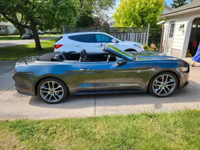 2016 Ford Mustang ecoboost convertible 