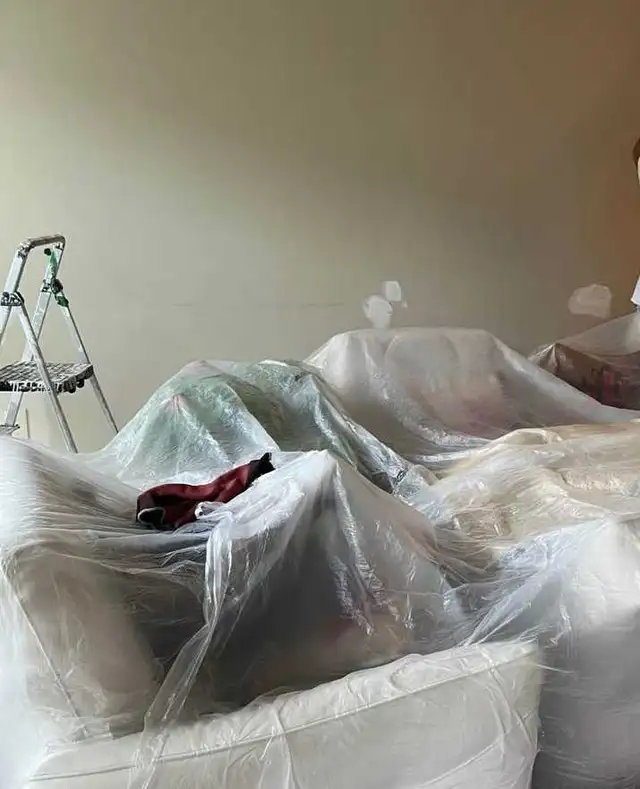 home painter603669484630845442