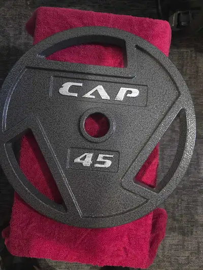 7 foot olympic barbell + 4 × 45lb plates, View more