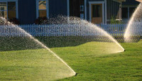 Irrigation, tourbe, bassin, paysagement 