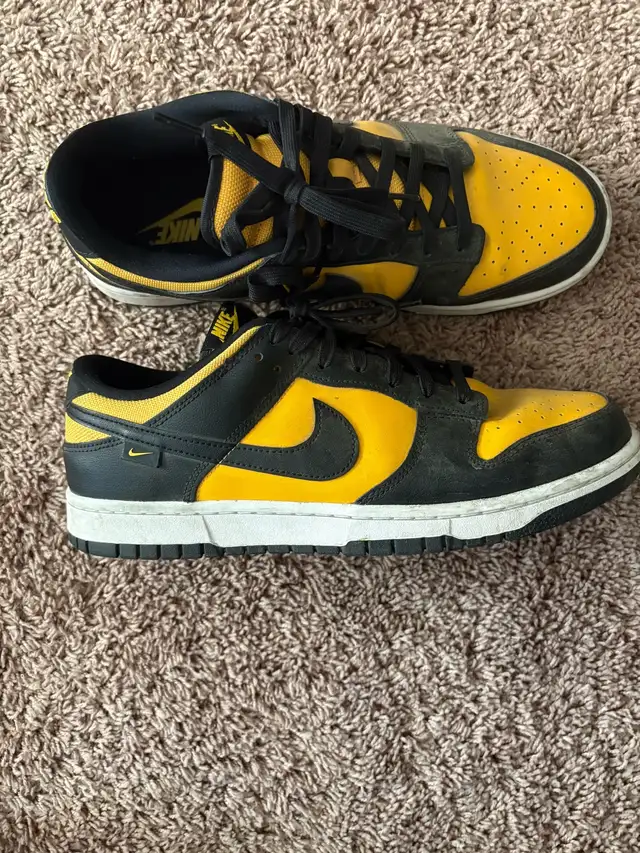 Size 11 Nike Dunk Low